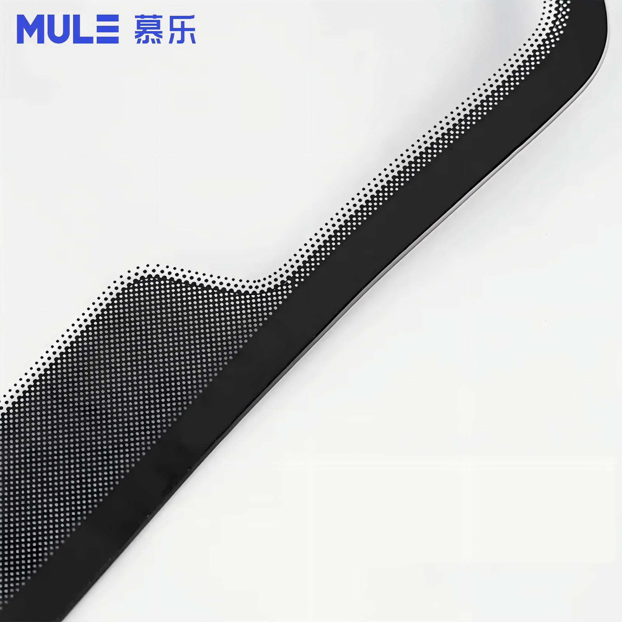 Modello Espositivo per Vetri A - Glass Protector Auto recensione e prezzo